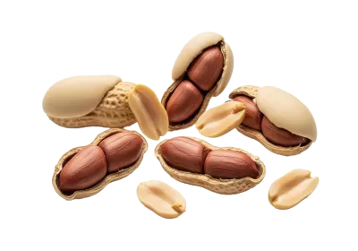 Imagen PNG para descargar